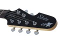 Schecter Robert Smith UltraCure