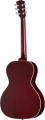 Gibson L-00 Special