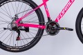 Formula Motion DD FR 27.5 2025 frame 16