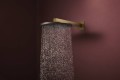 Hansgrohe Raindance Alive S 300 24540000