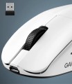 GamePro Asgard Surt