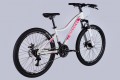 Discovery Kelly DD FR 26 2025