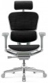 Comfort Ergohuman Elite 2