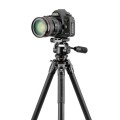 Vanguard VEO 5 264AO-28