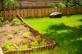 Cedrus C-MOW-M6+