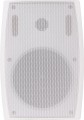 Sky Sound SUBT-10W-LS