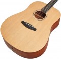 Tanglewood TR5