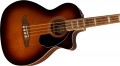 Fender Kingman Bass
