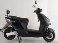 Forte T3