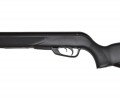 Gamo Black Bear