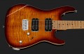 Harley Benton Fusion-III HH HT Roasted