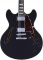 DAngelico Premier DC