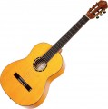 Ortega R170F