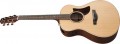 Ibanez AAM780E
