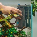 Oase BioPlus 50