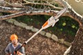 STIHL HTA 50