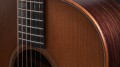 Taylor Builder's Edition 717e WHB