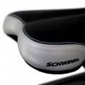 Schwinn IC2