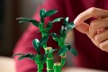 Lego Lucky Bamboo 10344