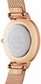 Daniel Wellington Petite DW00100681