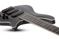 Schecter SLS Evil Twin-5