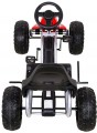 Ramiz Gokart Strong