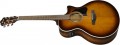 Ibanez AE160