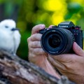 Panasonic Lumix DC-S1R II kit