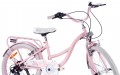 Sun Baby Flower Bike 20