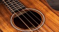 Taylor GS Mini-e Koa Bass