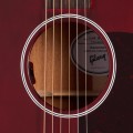 Gibson L-00 Special