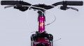 Formula Blackwood Vbr 20 2025