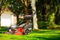 Cedrus KS56S-H