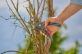 GARDENA PremiumCut 12250-20