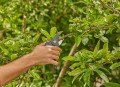 GARDENA PremiumCut Pro 12251-20