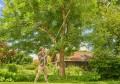 GARDENA StarCut Pro L 12081-20