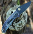 Spyderco Tenacious R.I.L. Disarray BB