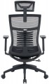 OfficePro Balance OC550