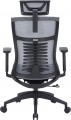 OfficePro Balance OC620