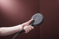 Hansgrohe Raindance Alive Select S 125 24500000