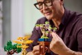 Lego Mini Bonsai Trees 10373