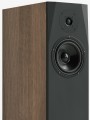 Pylon Audio Sapphire 31