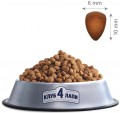 Club 4 Paws Adult Salmon 2 kg
