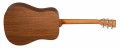 Tanglewood TM5
