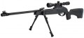 Gamo HPA Storm 4.5