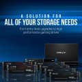 PNY CS2241