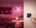 Philips Hue Tap dial switch