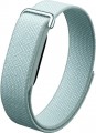 Fitbit Air