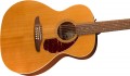 Fender Villager