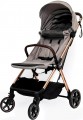 Babyhit Easyride